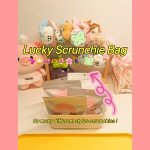 Lucky scrunchie bag - 10 bags(at least 15 scrunchies) + 1 gift