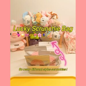 Lucky scrunchie bag