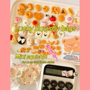 Lucky squishy bags(mini size)